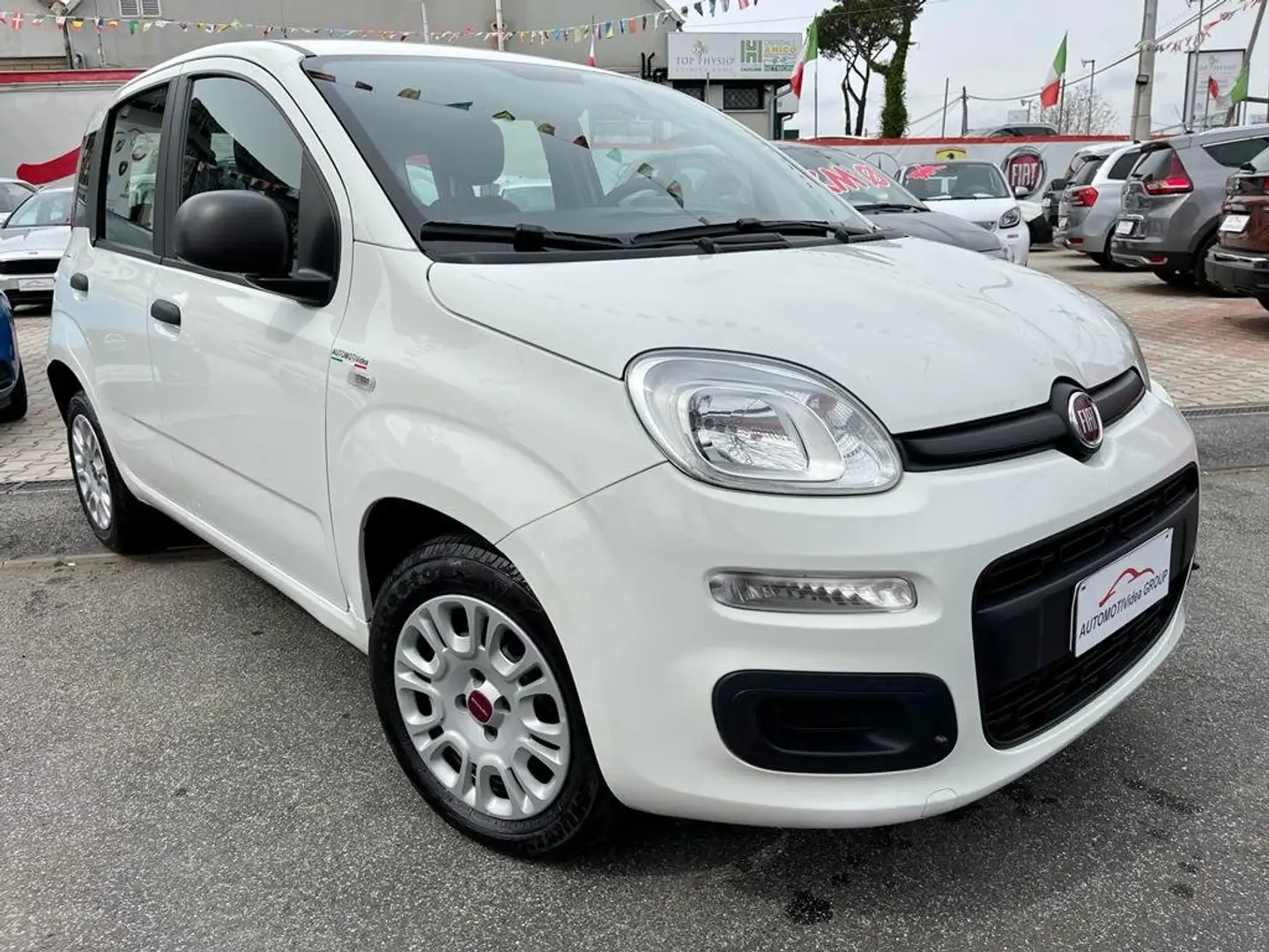 Fiat Panda Panda 1.2 Easy*NO OBBLIGO FINANZIAMENTO* PRONTA Bianco - 2