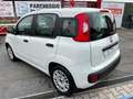 Fiat Panda Panda 1.2 Easy*NO OBBLIGO FINANZIAMENTO* PRONTA Bianco - thumbnail 3