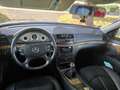 Mercedes-Benz E 220 cdi evo Avantgarde 170cv Argento - thumbnail 11