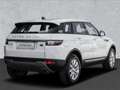 Land Rover Range Rover Evoque Pure 2,0 TD4 Blanco - thumbnail 2