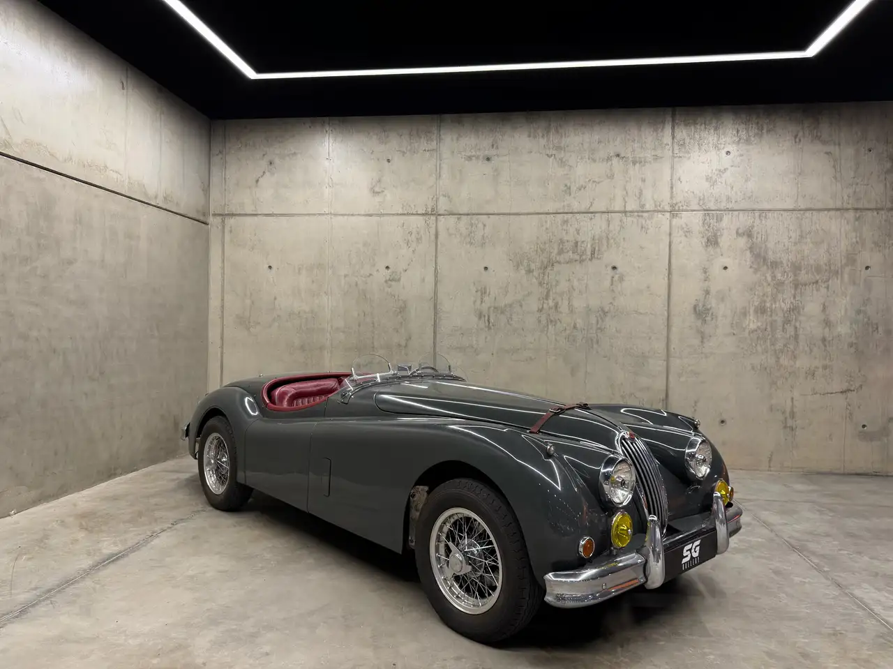 Jaguar Unknown