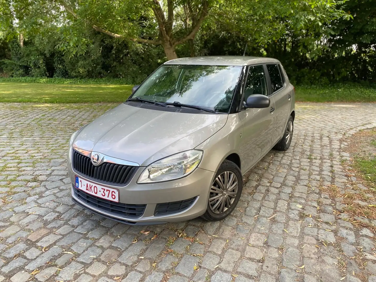 Skoda Fabia - 1