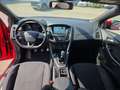 Ford Focus 1,0 EcoBoost ST-Line Rot - thumbnail 14