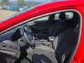Ford Focus 1,0 EcoBoost ST-Line Rot - thumbnail 10
