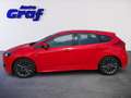 Ford Focus 1,0 EcoBoost ST-Line Rot - thumbnail 6