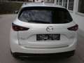 Mazda CX-5 G194 AT AWD Homura Comfort-Pack Sunroof Weiß - thumbnail 5