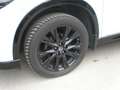 Mazda CX-5 G194 AT AWD Homura Comfort-Pack Sunroof Weiß - thumbnail 15
