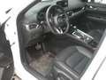 Mazda CX-5 G194 AT AWD Homura Comfort-Pack Sunroof Weiß - thumbnail 10