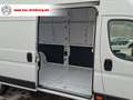 Fiat Ducato Maxi Grossr.-Kasten 35 180 L5H3/LED/BT Weiß - thumbnail 23