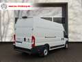 Fiat Ducato Maxi Grossr.-Kasten 35 180 L5H3/LED/BT Weiß - thumbnail 7