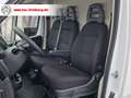 Fiat Ducato Maxi Grossr.-Kasten 35 180 L5H3/LED/BT Weiß - thumbnail 9