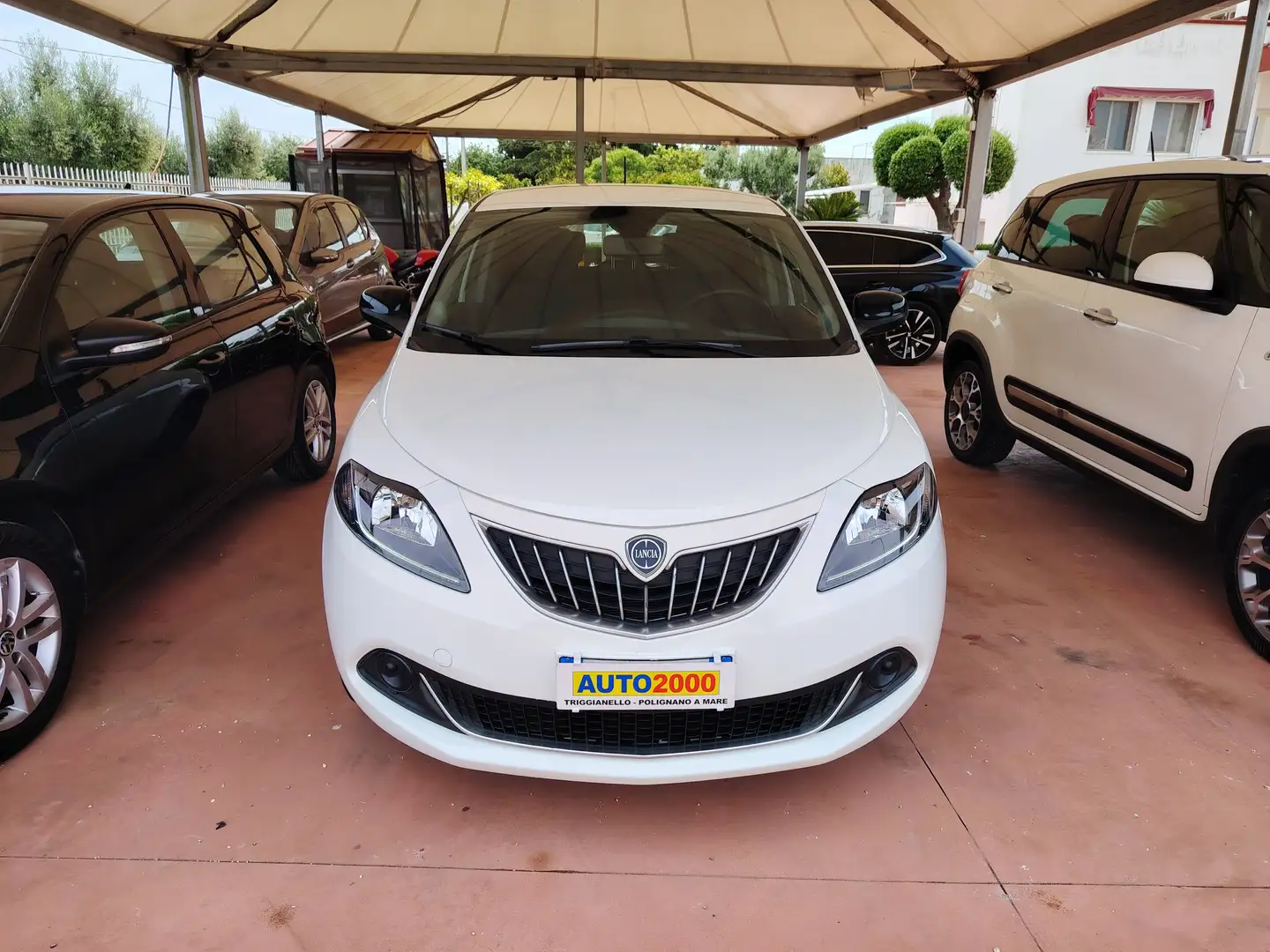 Lancia Ypsilon Ypsilon 1.0 firefly hybrid Silver s Bianco - 2