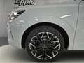 CUPRA Terramar VZ 2.0 TSI 195 kW (265 PS) 7-Gang DSG AHK HeadUpDi Weiß - thumbnail 8