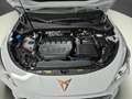 CUPRA Terramar VZ 2.0 TSI 195 kW (265 PS) 7-Gang DSG AHK HeadUpDi Weiß - thumbnail 7
