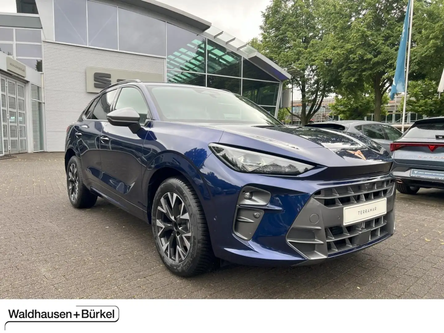 CUPRA Terramar 1.5 eTSI 110kW (150PS) 7-Gang-DSG Klima Navi Blau - 1