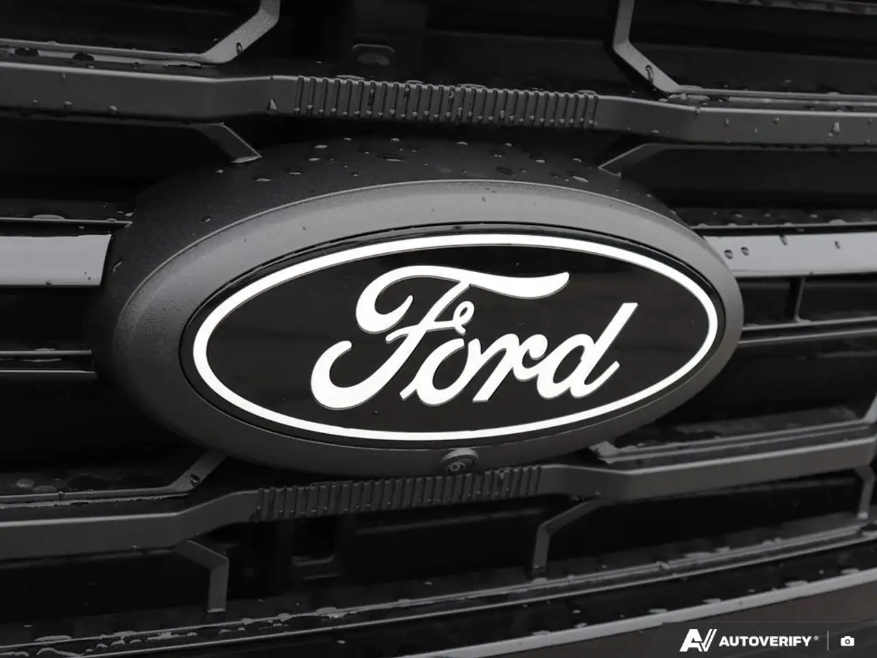Ford F 150 fotografie Ford F 150