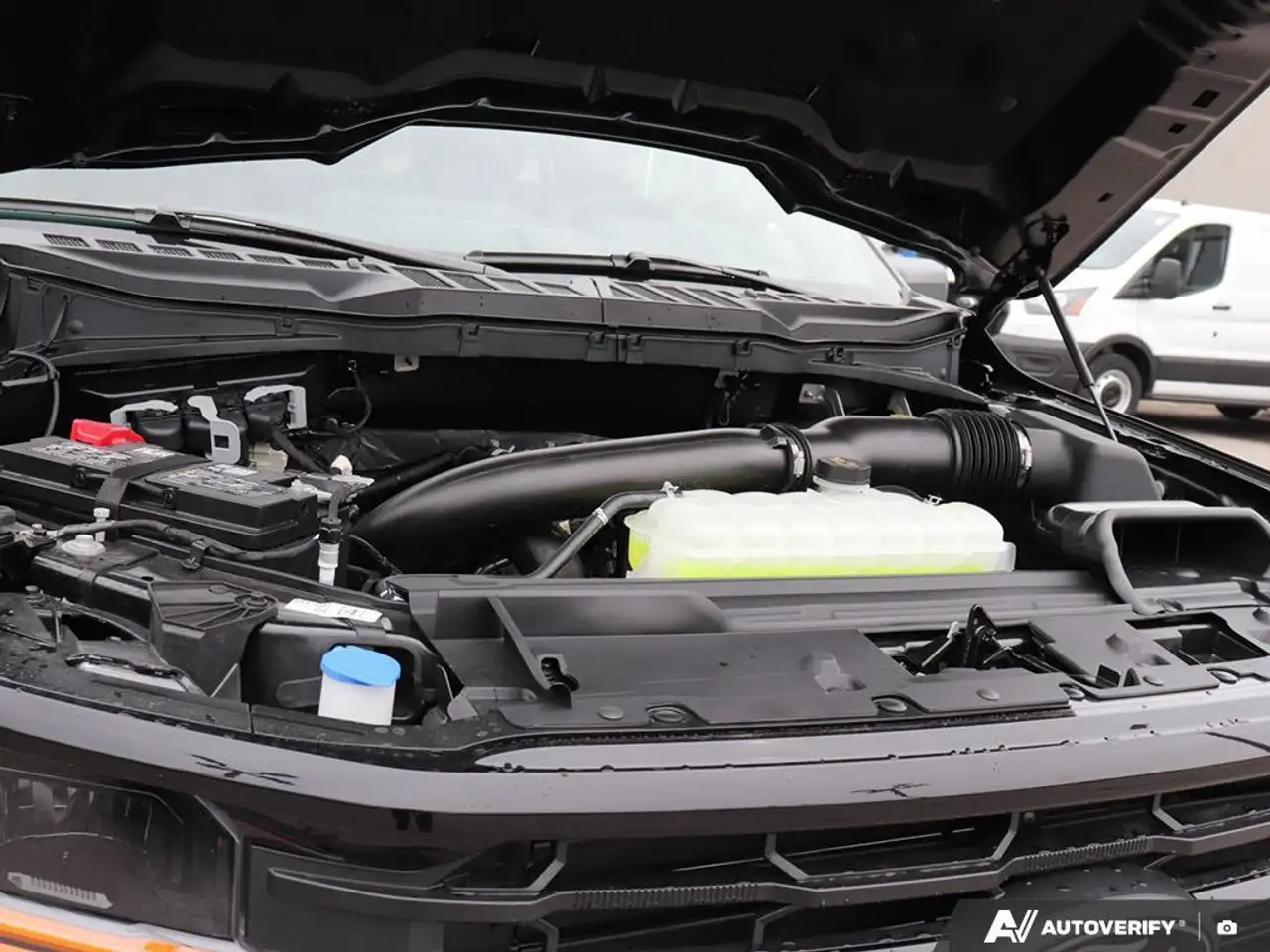 Ford F 150 fotografie Ford F 150
