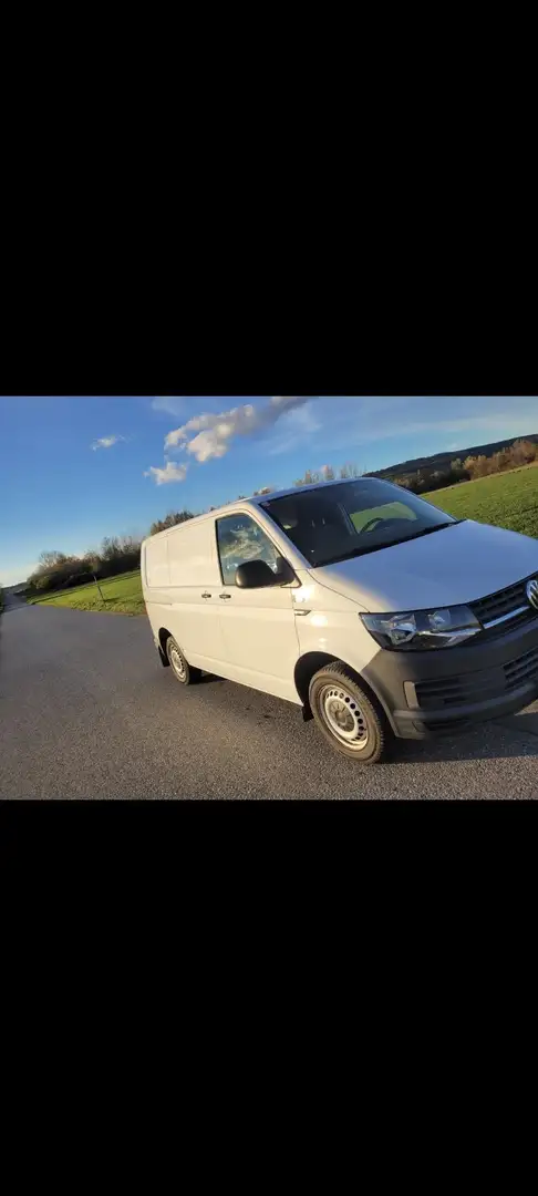 Volkswagen T6 Transporter Weiß - 2