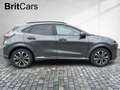 Ford Puma ST-Line X LED+Navi+Kamera+Winterpaket Gris - thumbnail 6