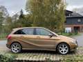 Mercedes-Benz B 200 B 200 CDI (246.201) Beige - thumbnail 1
