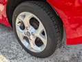 Ford Fiesta Fiesta VI 3p 1.2 16v Trend c/esp Euro5 Rosso - thumbnail 5