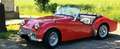 Triumph TR3 Rot - thumbnail 9