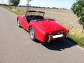 Triumph TR3 Rot - thumbnail 1