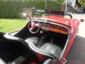 Triumph TR3 Rot - thumbnail 20