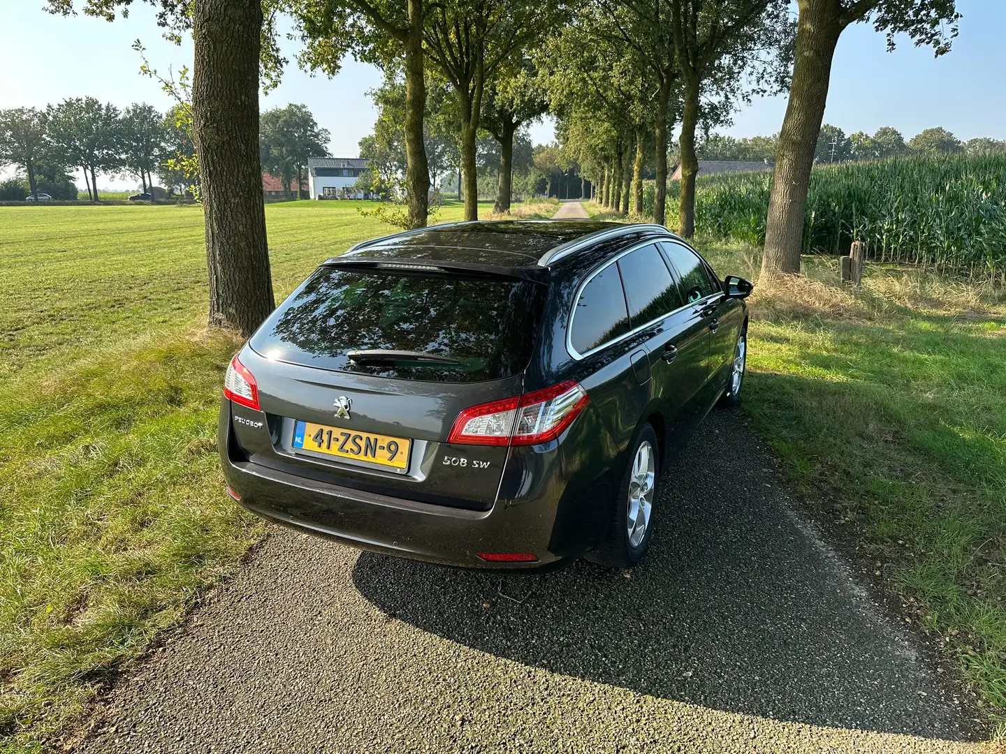 Peugeot 508 1.6 | Nieuwe distributieset, APK & Onderhoudsbeurt Gris - 2