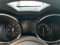 Alfa Romeo Stelvio Stelvio 2.2 Turbodiesel 190 CV AT8 Q4 Executive Noir - thumbnail 19