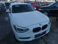 BMW 116 116 i NAVI Weiß - thumbnail 1
