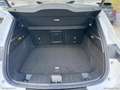 Alfa Romeo Tonale 1.6 diesel 130 CV TCT6 Ti Bianco - thumbnail 10
