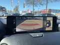 Mazda CX-60 2.5 PHEV Homura Plus / Schuif-/kanteldak / 360 cam Gris - thumbnail 19
