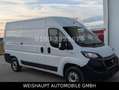 Fiat Ducato Hochr.-Kasten 33 120 L2H2 RS: 3450 mm Blanc - thumbnail 13