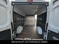 Fiat Ducato Hochr.-Kasten 33 120 L2H2 RS: 3450 mm Blanc - thumbnail 19