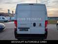 Fiat Ducato Hochr.-Kasten 33 120 L2H2 RS: 3450 mm Blanc - thumbnail 7