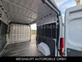 Fiat Ducato Hochr.-Kasten 33 120 L2H2 RS: 3450 mm Blanc - thumbnail 21