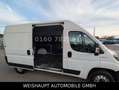 Fiat Ducato Hochr.-Kasten 33 120 L2H2 RS: 3450 mm Blanc - thumbnail 4