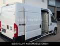 Fiat Ducato Hochr.-Kasten 33 120 L2H2 RS: 3450 mm Blanc - thumbnail 12
