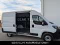 Fiat Ducato Hochr.-Kasten 33 120 L2H2 RS: 3450 mm Blanc - thumbnail 14