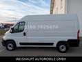 Fiat Ducato Hochr.-Kasten 33 120 L2H2 RS: 3450 mm Blanc - thumbnail 5