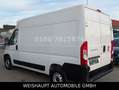 Fiat Ducato Hochr.-Kasten 33 120 L2H2 RS: 3450 mm Blanc - thumbnail 11