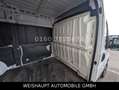 Fiat Ducato Hochr.-Kasten 33 120 L2H2 RS: 3450 mm Blanc - thumbnail 18