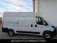 Fiat Ducato Hochr.-Kasten 33 120 L2H2 RS: 3450 mm Blanc - thumbnail 15