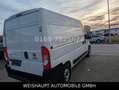 Fiat Ducato Hochr.-Kasten 33 120 L2H2 RS: 3450 mm Blanc - thumbnail 8