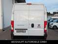 Fiat Ducato Hochr.-Kasten 33 120 L2H2 RS: 3450 mm Blanc - thumbnail 9
