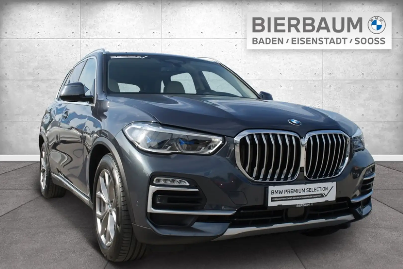 BMW X5 X5 xDrive45e Grau - 1