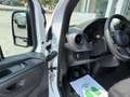 Mercedes-Benz Sprinter MERCEDES Sprinter F32/33 311 CDI FWD TN Furgone Wit - thumbnail 10
