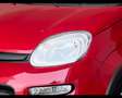 Fiat Panda 1.0 Hybrid 70cv Rosso - thumbnail 2