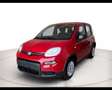 Fiat Panda 1.0 Hybrid 70cv Rosso - thumbnail 1